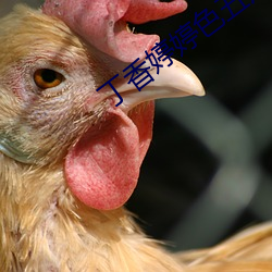丁香婷婷色五月激(jī)情综合深(shēn)爱