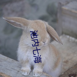 池内七海