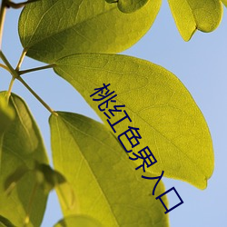 桃紅色界入口