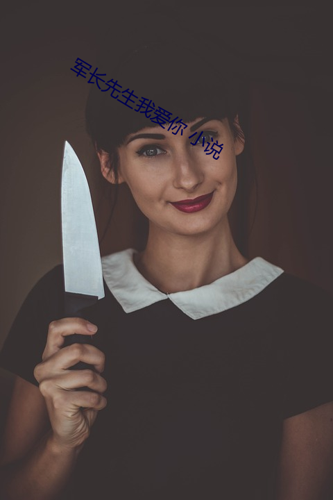 軍長先生我愛你 小說