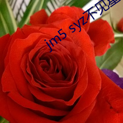 jm5 syz不见星空