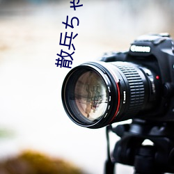 散兵ちゃんが部下を腿法娴熟