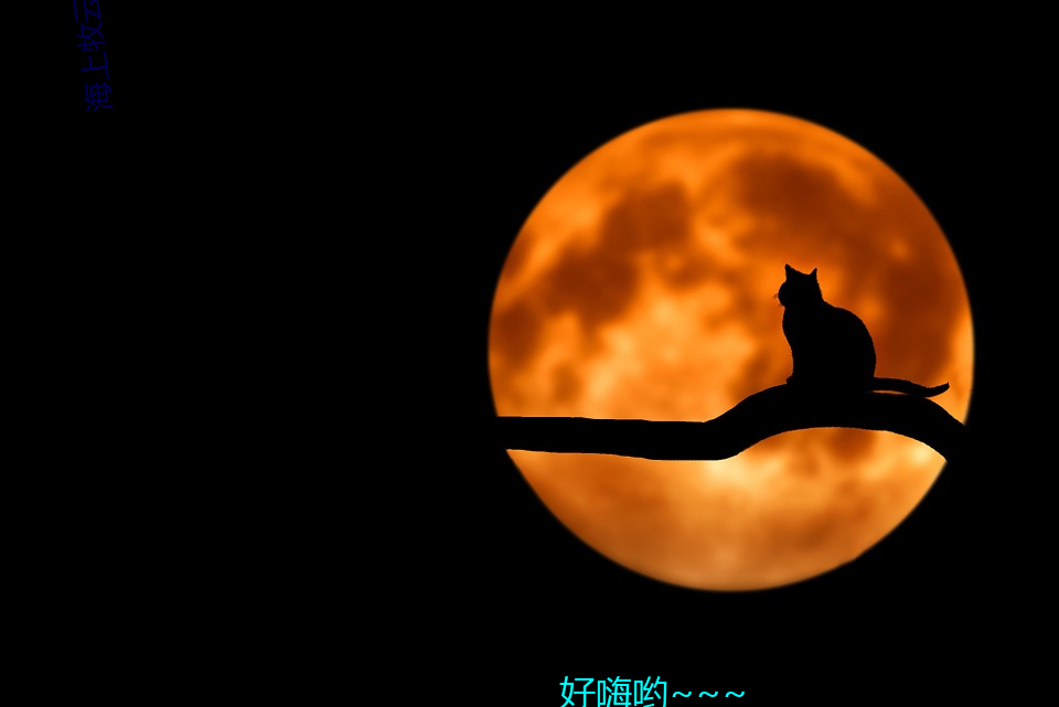 海上牧雲記2免費觀看全集
