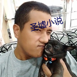 圣墟小说