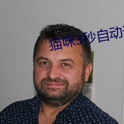 貓咪3秒自動進入